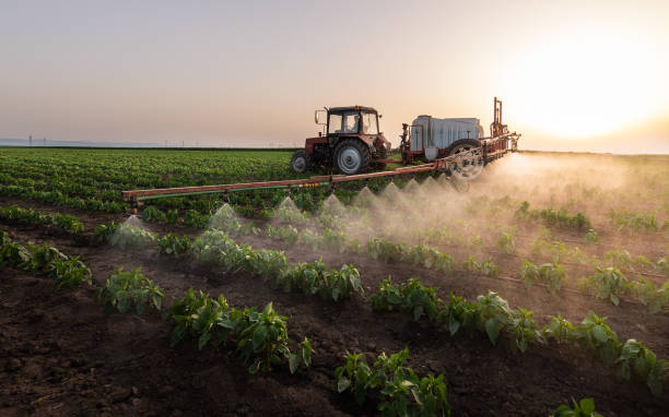 Best Commercial Pest Control Services  in Thief River Falls, MN