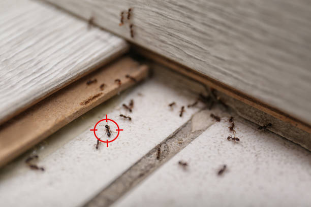 Best Wildlife Control Services  in Thief River Falls, MN