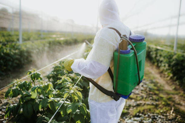 Best Best Pest Control Companies  in Thief River Falls, MN